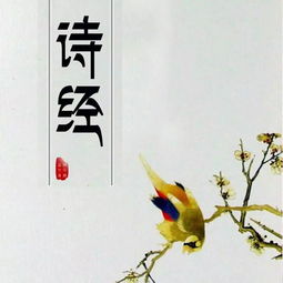 詩(shī)經(jīng)中文雅的正能量的句子