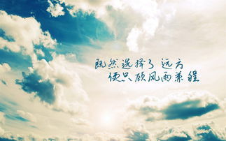 正能量情感勵志句子