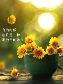 句子,心語(yǔ),能量,每日