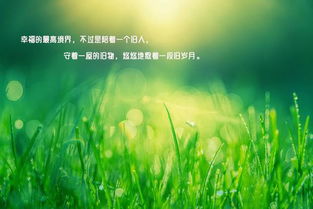 正能量集陽(yáng)光的句子