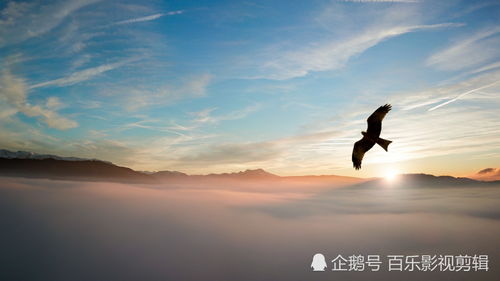 鼓勵正能量的句子經(jīng)典語(yǔ)錄,投資正能量的句子經(jīng)典語(yǔ)錄,佛教正能量的句子經(jīng)典語(yǔ)錄