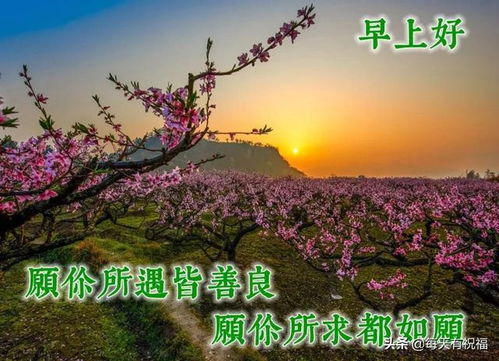 早安,句子,能量,陽(yáng)光