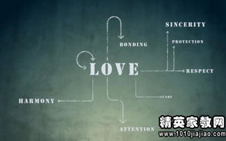 放棄感情正能量句子