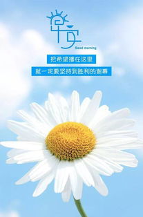 工作早安心語(yǔ)正能量句子,周末早安心語(yǔ)正能量句子,早安心語(yǔ)2021最新正能量句子