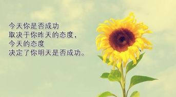 積極向上有正能量的句子