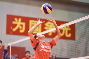 排球,句子,運動(dòng)員,能量