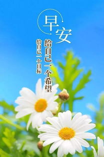 句子,能量,問(wèn)候,早上