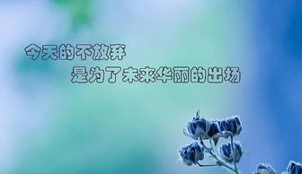 每天勵(lì)志正能量早安語(yǔ),微信早安勵(lì)志正能量,早安勵(lì)志正能量的句子