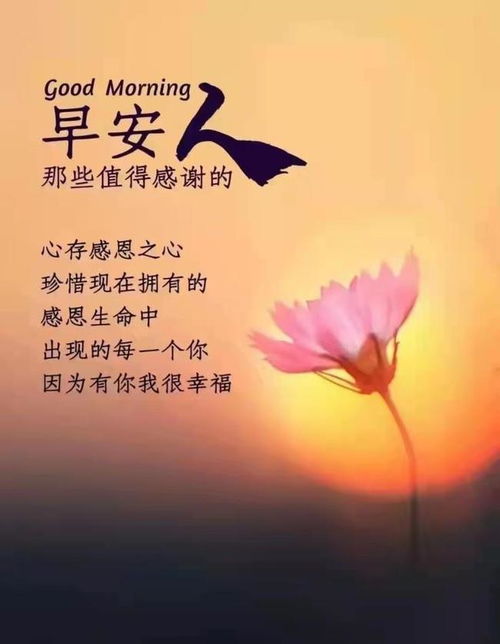 微信女人正能量的句子經(jīng)典語(yǔ)句