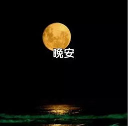 晚安心語(yǔ)優(yōu)美的句子正能量
