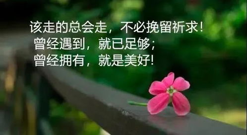 遠離沒(méi)有正能量的人句子,遠離負能量,正能量句子,正能量遠離負能量的人的句子