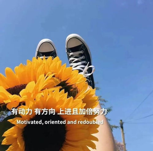 優(yōu)設網(wǎng)文案正能量的句子