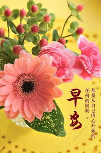 自己的,句子,能量,找回