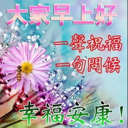 早上問好的正能量句子,早上向客戶問好的句子,帶正能量,早上問好的正能量句子和大全