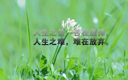句子,能量,幸運