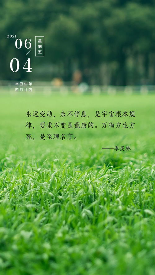 早上陽(yáng)光的句子正能量,早上充滿(mǎn)正能量陽(yáng)光的句子,迎著(zhù)陽(yáng)光的正能量句子