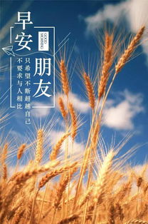 早安勵志正能量的句子,好心態(tài)早安正能量句子,早安語(yǔ)錄正能量的句子