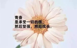 早安勵志正能量的句子朋友圈,人生勵志正能量句子朋友圈,正能量句子勵志短句子朋友圈