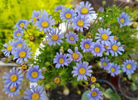 安靜的夜晚正能量句子