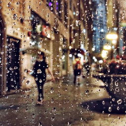 下大雨發(fā)朋友圈的正能量句子