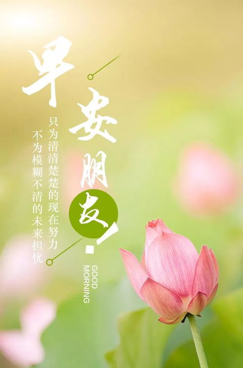 早上好正能量勵志句子正能量說(shuō)說(shuō)朋友圈,正能量句子勵志短句子早上好,早上好正能量的勵志句子一句話(huà)