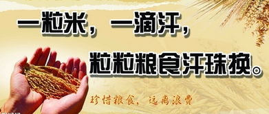 勤儉節(jié)約的經(jīng)典句子,勤儉節(jié)約的勵志句子,關(guān)于勤儉節(jié)約的好句子