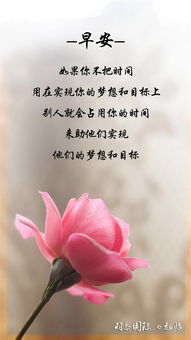 健康心語(yǔ)正能量句子女人