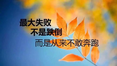 沖勁,句子,能量,有哪些
