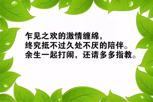 女人正能量創(chuàng  )業(yè)的句子經(jīng)典語(yǔ)句