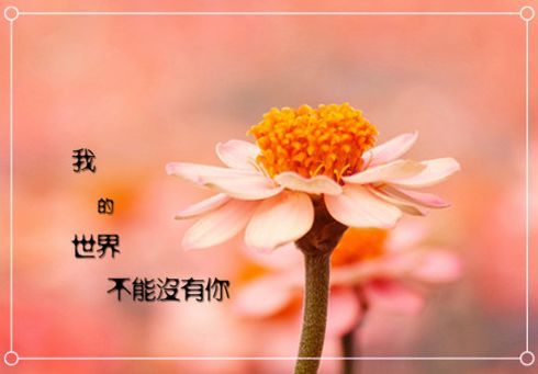 早安,句子,語(yǔ)錄,朋友圈