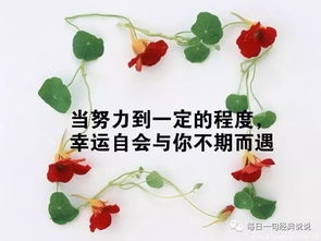 激勵同事正能量的句子,分享給同事的正能量句子,同事一起合影正能量的句子