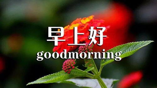 早上好勵志正能量句子,早上好正能量句子簡(jiǎn)短,早上好激勵人生的正能量句子
