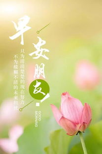 早上好早上正能量的句子