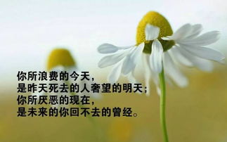 正能量句子勵志短句子朋友圈,人生勵志正能量句子朋友圈,朋友圈正能量的短句子勵志2020