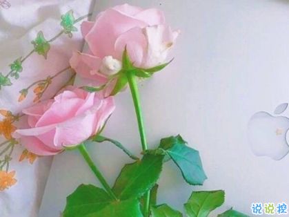 周末愉快的句子正能量朋友圈