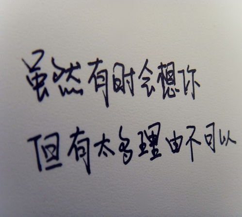 搞笑的正能量的句子說(shuō)說(shuō)心情短語(yǔ)