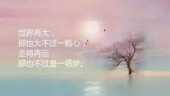 正能量現實(shí)情感勵志句子