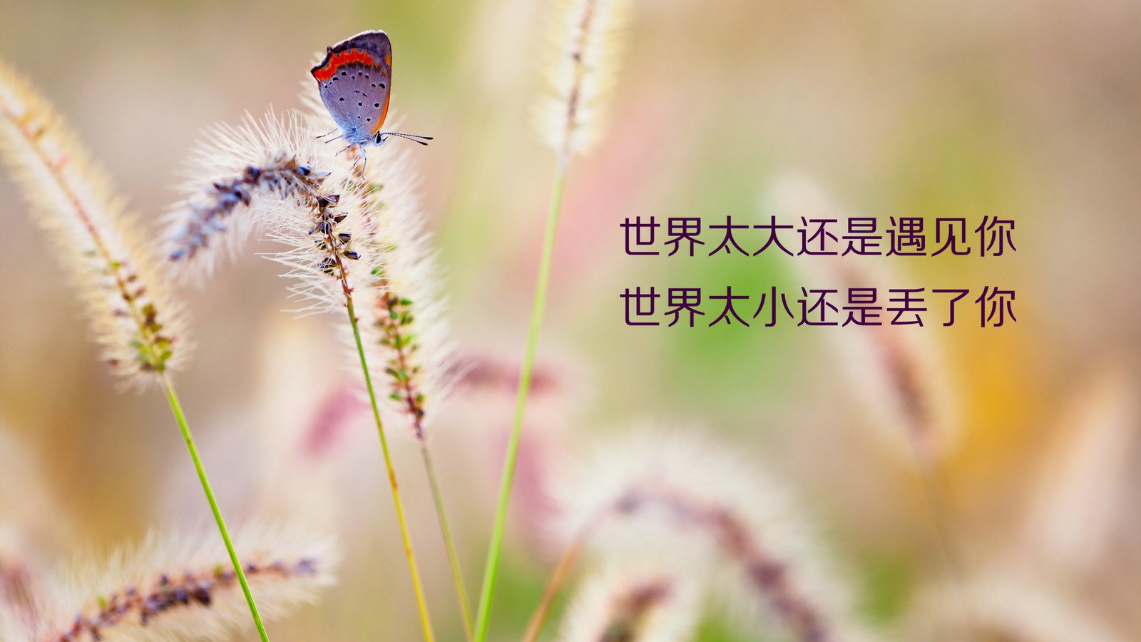 早安心語(yǔ)正能量一句話(huà),微信早安心語(yǔ)正能量,勵志早安心語(yǔ)正能量