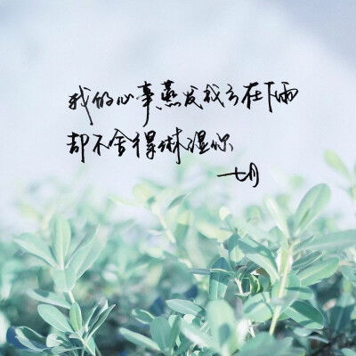 陽(yáng)光正能量唯美句子說(shuō)說(shuō)心情