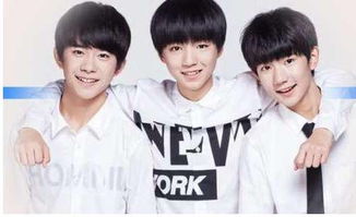 董卿說(shuō)過(guò)的正能量句子,作家說(shuō)過(guò)的正能量句子,TFBOYS說(shuō)過(guò)的句子