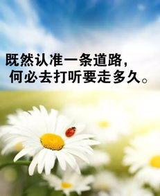 努力奮斗早安正能量的句子,努力奮斗早安正能量的句子簡(jiǎn)單,早安正能量的句子努力堅持的