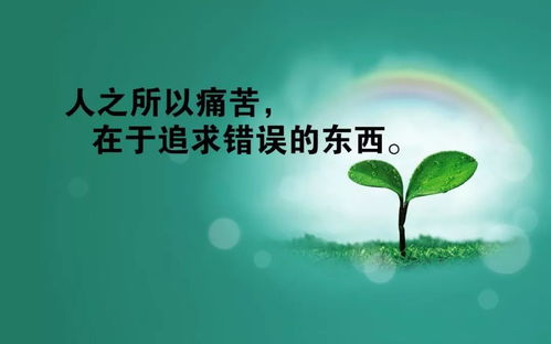 關(guān)于激勵工作正能量的句子,激勵員工工作正能量的句子,激勵學(xué)生正能量句子大全