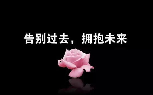 句子,能量,大全,微信發(fā)