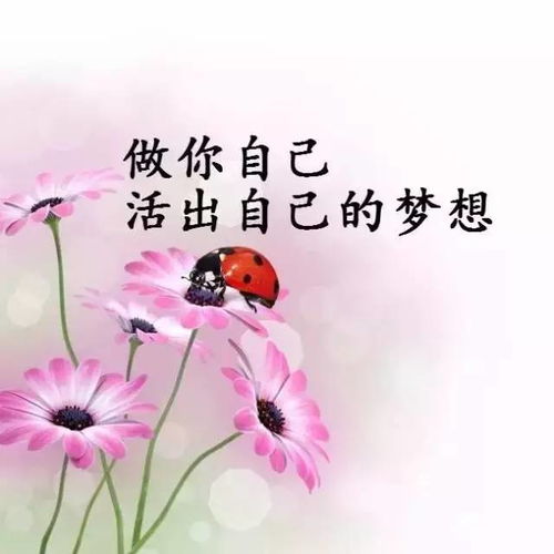 早安,高質(zhì)量,句子,朋友圈