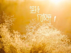 形容一個(gè)人陽(yáng)光正能量的句子,形容人積極陽(yáng)光正能量的句子,形容內心陽(yáng)光充滿(mǎn)正能量的句子