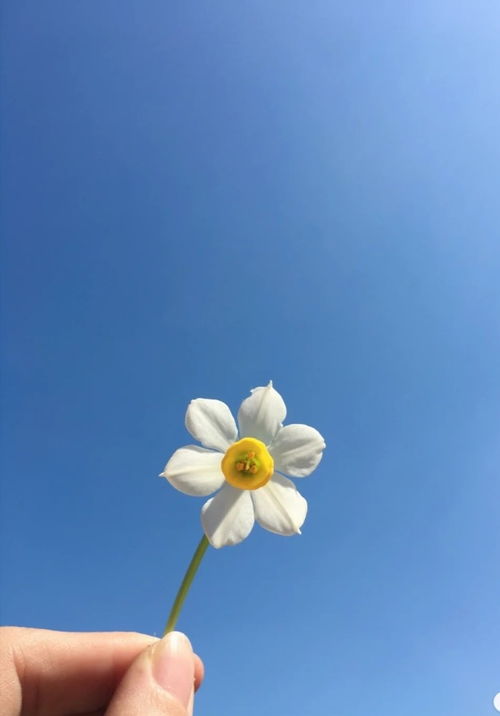 句子,語(yǔ)句,能量,每日