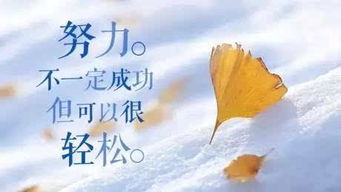 能量,想要,句子