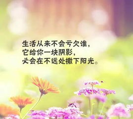 句子,唯美,能量,大全