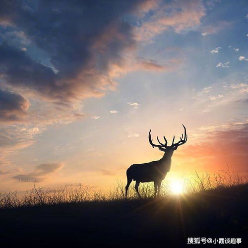 陽(yáng)光心態(tài)正能量的八字句子