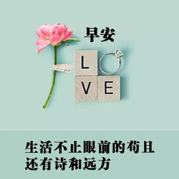 句子,好笑,能量